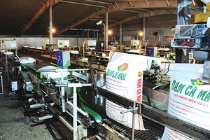 2018, DCM đặt kế hoạch Kl99 nổ hũ trước thuế 683 tỷ đồng