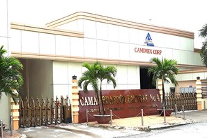 Camimex (CMX): Trang Chủ KL99Com Số 1 Link Đăng Ký KL999 có bị “đánh cắp” quyền lợi?