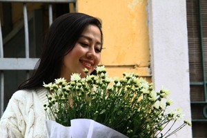Cúc Họa Mi là loài hoa biểu tượng cho mùa Đông Hà Nội. Ảnh: Thành Nguyễn.