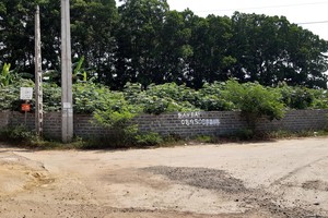 Cơn sốt đất nền được cắt vào quý II/2021. Ảnh: Thành Nguyễn.