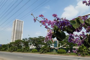 Giãn cách Trang Chủ KL99Com Số 1 Link Đăng Ký KL999 đã khiến thị trường cả quý trầm lắng hơn hẳn quý 2. Ảnh: Thành Nguyễn.