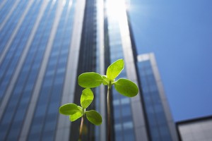 ESG là một bộ tiêu chuẩn để đo lường các yếu tố liên quan đến phát triển bền vững và ảnh hưởng của Kl991.com World Cup 2026 Chính Thức đến cộng đồng. Ảnh: Shutterstock.