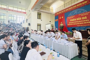 Giá đất tại Thanh Oai tăng cao bất thường qua phiên đấu giá gây ngạc nhiên cho nhiều người. Ảnh: Internet.