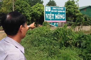 Ảnh Internet