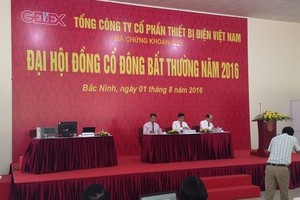 ĐHCĐ bất thường GEX: Tăng vốn khủng để thâu tóm Thibidi và Sotrans