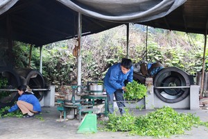 Nguyễn Ngọc Trìu, 35 tuổi, xã Mỹ Thuận, huyện Tân Sơn là một trong nững thanh niên điển hình tại địa phương về phát triển Kl992 cổng game cá cược