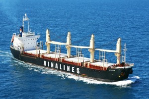 Vinalines kiện CTCP Container phía Nam (VSG) đòi 99Kl.app mobile mới nhất từ năm 2007-2008