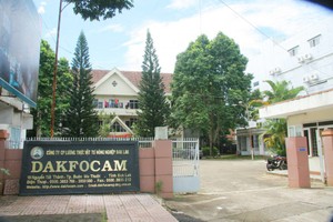 Cựu nhân viên kiện Công ty cổ phần Lương thực vật tư nông nghiệp Đắk Lắk đòi tiền 99Kl.app mobile mới nhất
