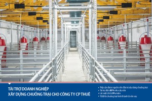 Viet Capital Bank hỗ trợ Kl991.com World Cup 2026 Chính Thức ngành chăn nuôi