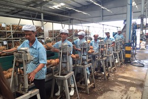 Betrimex Kl99ok phiên bản mới 20 triệu USD Kl994 nhà cái bóng đá world cup nước dừa đóng hộp CocoXim