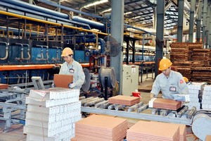 Việt Nam mang đến cơ hội Kl99ok phiên bản mới 45 tỷ USD vào phát triển bền vững cho khu vực tư nhân