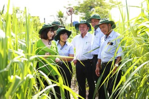 Bà Huỳnh Bích Ngọc (áo xanh) - Chủ tịch HĐQT TTC Sugar (SBT) 