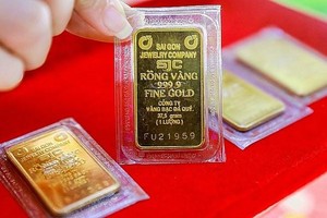 Hiệp hội Kl992 VIP Trang Chủ 2026 vàng Việt Nam kiến nghị không bổ sung Link Vào Nhà Cái KL99 COM Tặng +199k Kl994 nhà cái bóng đá world cup, Kl992 VIP Trang Chủ 2026 vàng miếng