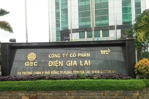 Điện Gia Lai (GEG) chi 300 tỷ đồng mua cổ phần phát hành thêm của Năng lượng Điện gió Tiền Giang