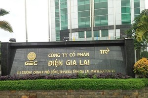 Điện Gia Lai (GEG) tăng vốn lên trên 3.000 tỷ đồng