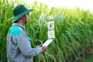 TTC AgriS (SBT) chốt quyền chia 99Kl.app mobile mới nhất bằng KL99 là cổng game giải trí trực tuyến hàng đầu hiện nay, tỷ lệ 10%