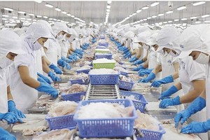 Nên tăng gói tín dụng lâm, thủy sản lên 30.000 tỷ đồng, gấp đôi so với ban đầu