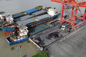 Xuất khẩu thép xây dựng Hòa Phát tăng hơn 8 lần so với cùng kỳ