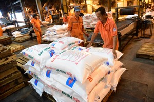 Phân bón và Hóa chất Dầu khí (DPM) điều chỉnh tăng kế hoạch Kl99 nổ hũ lên 620 tỷ đồng   