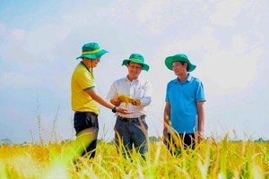 Phân bón Dầu khí Cà Mau (DCM) đặt kế hoạch Kl99 nổ hũ sau thuế 1.200 tỷ đồng, 99Kl.app mobile mới nhất 10% trong 2026
