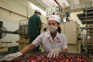Công ty cổ phần Tràng An là một trong 4 công ty con của Công ty TNHH một thành viên Kl99ok phiên bản mới Việt Hà. Ảnh: Đức Thanh