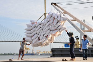 Chất gạo lên tàu xuất khẩu. Ảnh minh hoạ. Nguồn: Internet
