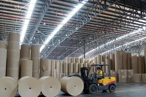 Kết quả của tháng 1/2016 được cho là một khởi đầu may mắn, dự báo một năm thành công tiếp theo cho Việt Nam trong Kl999.com bắn cá đổi thưởng. Ảnh: Lê Toàn