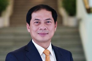 Thứ trưởng Bộ Ngoại giao Bùi Thanh Sơn