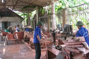 Nguồn vốn ngân sách 99Kl99 trực tiếp đá gà có hạn trong khi nhu cầu hỗ trợ từ các chương trình như xây dựng mô hình HTX kiểu mới quá nhiều