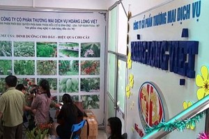 Công ty Hoàng Long Việt chuyên Kl992 VIP Trang Chủ 2026 phân bón nhưng vẫn mở thêm hoạt động đa cấp dù không có phép. Ảnh: Báo Vĩnh Long