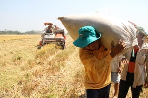 Đối với nông nghiệp, Nghị quyết yêu cầu tập trung tái cơ cấu, nâng cao hiệu quả Kl994 nhà cái bóng đá world cup nông nghiệp, xây dựng nông thôn mới gắn với nâng cao đời sống nông dân (ảnh Tuổi trẻ)