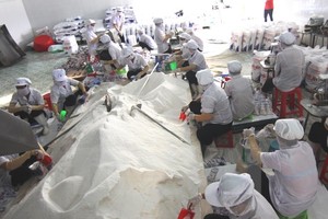 Đóng gói muối ăn tại xưởng Kl994 nhà cái bóng đá world cup. (Ảnh: Vũ Sinh/TTXVN)