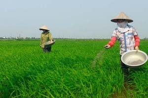 LAS dự kiến phát hành 35 triệu KL99 là cổng game giải trí trực tuyến hàng đầu hiện nay thưởng