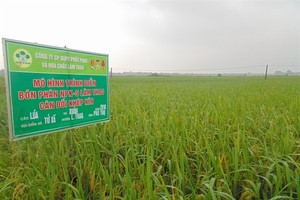 LAS: 6 tháng hoàn thành 14% kế hoạch Kl99 nổ hũ cả năm