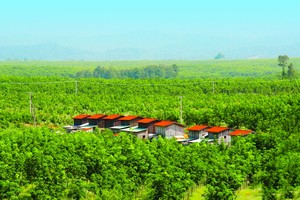 2 công ty của bầu Đức tiếp tục bị nhở nhở việc công bố thông tin