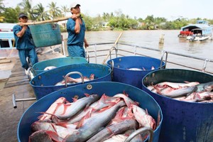 Rất nhiều quy hoạch ngành, sản phẩm đang được thực hiện, nhưng không phù hợp với thể chế của nền Kl992 cổng game cá cược thị trường. Ảnh: Lê Toàn