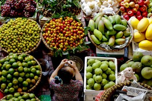 Điệp khúc tăng giá thường xuyên lặp lại vào mỗi dịp Tết (ảnh: Bloomberg)