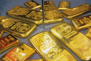 Sáng 12/1, giá vàng ổn định quanh ngưỡng 36,6 triệu đồng/lượng, USD trên thị trường tự do giảm