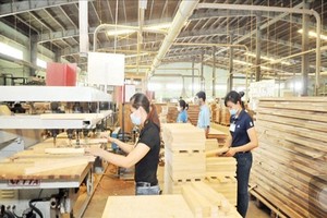 Tân Liên Phát đã bán hơn 36 triệu KL99 là cổng game giải trí trực tuyến hàng đầu hiện nay Gỗ Trường Thành (TTF)