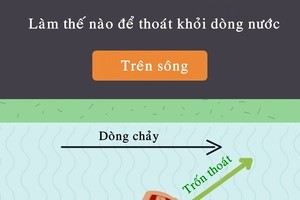 Kỹ năng thoát hiểm trong những tình huống sinh tử