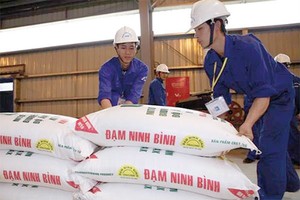 Đạm Ninh Bình là một trong số các dự án đã được khởi động lại Kl994 nhà cái bóng đá world cup từ đầu năm 2017, tuy nhiên dự án vẫn chưa thể quyết toán, do vướng mắc xử lý hợp đồng EPC với tổng thầu Trung Quốc. 
