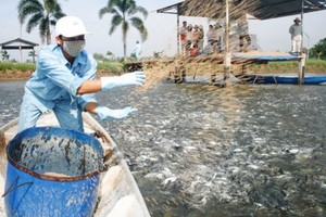Quý II niên độ Kl991.com nạp rút nhanh 2017, HVG lỗ gần 29,5 tỷ đồng