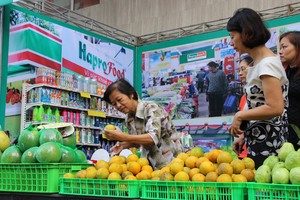 Công ty cổ phần được chuyển đổi từ Công ty mẹ - Hapro sẽ phải kế thừa quyền lợi và nghĩa vụ tại các công ty cổ phần, công ty TNHH - bao gồm cả 41 khoản Kl99ok phiên bản mới Kl991.com nạp rút nhanh.