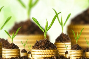 7 quy tắc 'vàng' Kl99ok phiên bản mới đất nền an toàn