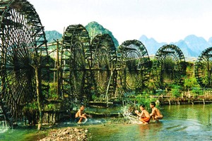 Pù Luông vào mùa lúa đẹp nhất trong năm