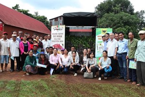 Vinacafé Biên Hòa tổ chức tập huấn thực hiện mô hình Kl994 nhà cái bóng đá world cup cà phê và thực hiện tái canh cây cà phê