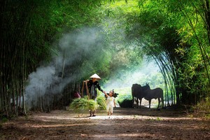 Những bức ảnh ấn tượng vòng chung khảo 'Dấu ấn Việt Nam'
