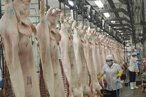 Việt Nam sẽ hết dư thừa heo từ 2018