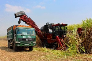 SBT: Trang Chủ KL99Com Số 1 Link Đăng Ký KL999 lớn đăng ký mua 10 triệu KL99 là cổng game giải trí trực tuyến hàng đầu hiện nay