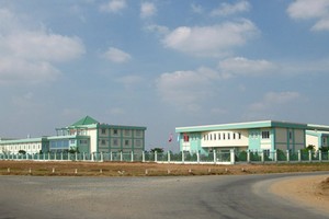 BII bị đưa vào diện kiểm soát, cắt margin